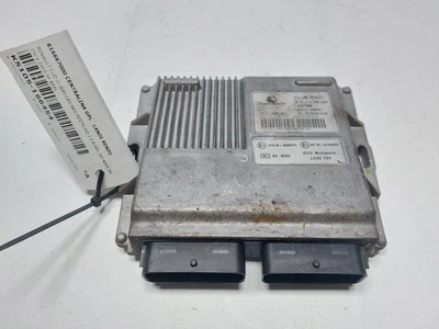 616667000 CENTRALINA GPL LANDI RENZO RENAULT CLIO III (B85-C85-S85) RESTYLING 1. - Immagine 1 di 4