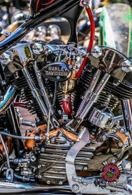  Cubierta de distribuidor cromada reemplazo Harley Davidson OEM 32589-36 Knucklehead 36-64 Foto 1 de 4