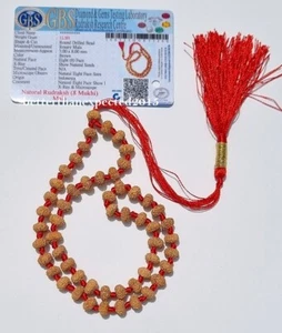 8 Mukhi Rudraksha Mala / Eight Face Rudraksh Rosary 7-8MM- 54 beads- Certified - Picture 1 of 4