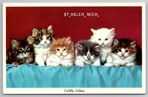 Postcard Six Kuddly Kittens Cute Cats Kitty Cat St Helen Michigan MI Vintage - Picture 1 of 2