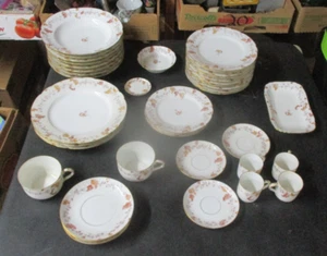 Haviland Limoge Blueberry Pattern 40 Piece Partial Dinner Set .. Some Chips - Picture 1 of 17