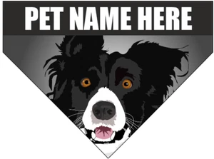 Dog/Pet Bandana - Border Collie (CAN BE CUSTOMISED) - Picture 1 of 10