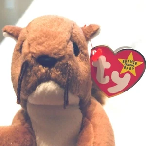 Nuts Beanie Baby, neuwertig, 1-21-96, Eichhörnchen, alle Etiketten - Bild 1 von 7