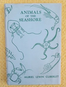 ANIMALS OF THE SEASHORE BY MURIEL LEWIN GUBERLET 1936 - Picture 1 of 3