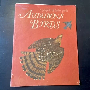 "Audubon Birds vintage una cartera de 8 impresiones grandes con cubierta 14 x 18""" - Imagen 1 de 9