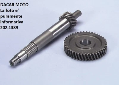 202.1389 Engranaje Primario POLINI Italjet Torpedo 125/150 (Leader) - Imagen 1 de 4