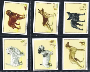 GALLAHER - DOGS (BLOCK, LARGE) - FULL SET OF 24 CARDS - Picture 1 of 8
