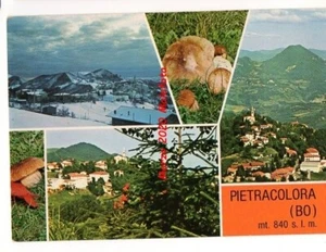 PIETRACOLORA 1979 BOLOGNA BOLETI PORCINI FUNGHI PILZ CHAMPIGNON PAESAGGI NEVE - Foto 1 di 2