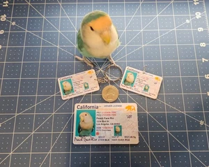 Linda tarjeta de identificación estilo licencia de conducir para mascotas - Imagen 1 de 13