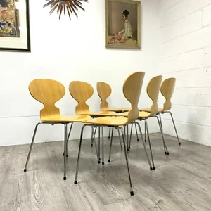 6 x Vintage Arne Jacobsen Fritz Hansen Ant Chairs 3101 - Picture 1 of 18