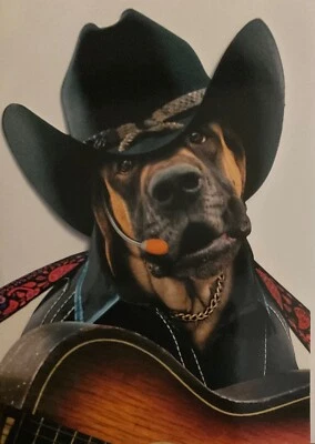Avanti Singing Cowboy Dog Birthday Card~Cut Out~app 13 x 17cm - See Photos - Image 1 of 3
