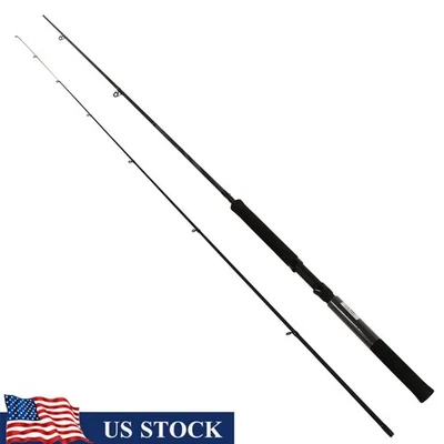 Crappie Hunter 10ft Light Spin Fishing Rod IM6 Graphite 2 Piece Durable New - Image 1 of 4