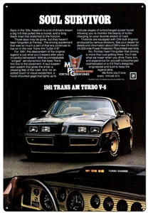 1981 Trans Am - Retro Tin Sign - 20 x 30 cm Portrait - Picture 1 of 1