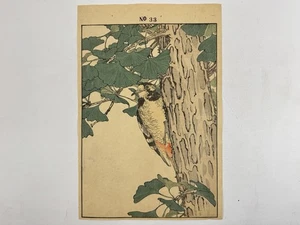 Japanese Woodblock Bird Print “Woodpecker” from “Keinen Kacho Gafu” №33 - Picture 1 of 12