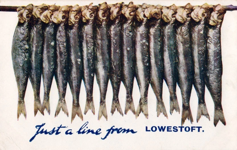 printed novelty  lowestoft postcard, string of herring  circa 1910 - Image 1 of 1