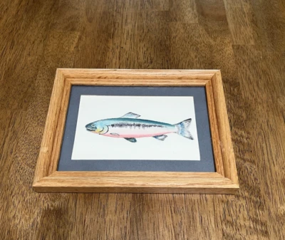 Framed Watercolor Painting Fish Coho Salmon? - Signed - Fisherman Gift - Image 1 of 4