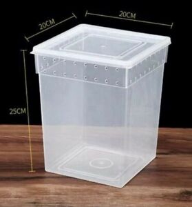 Tall plastic insect reptile transport / rearing box