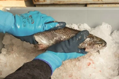 Doppelt beschicht Arbeitshandschuhe von Optiflex lebensmittelgeeignet. Gr. 7-11