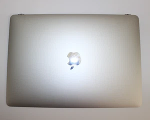 Apple MacBook Pro 13" LCD Screen Display Assembly A2159 2019 Silver - Picture 1 of 2