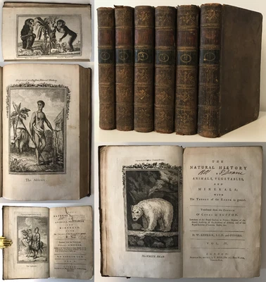 1775-76 Buffon NATURAL HISTORY OF ANIMALS Vol. 1-6 Vegetables Minerals 57 PLATES - Image 1 of 4