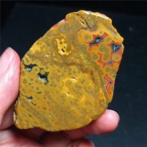 Rare 23G Natural Orbicular Ocean Jasper Rough Stone Healing Madagascar QT60 - Picture 1 of 16