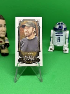 CHUCK NORRIS 2024 TOPPS ALLEN & GINTER MINI A&G BACK #255 - Picture 1 of 2