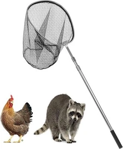 Catch Net Small Animal Control Catcher with Telescopic Handle for Chicken Duck, - Picture 1 of 8