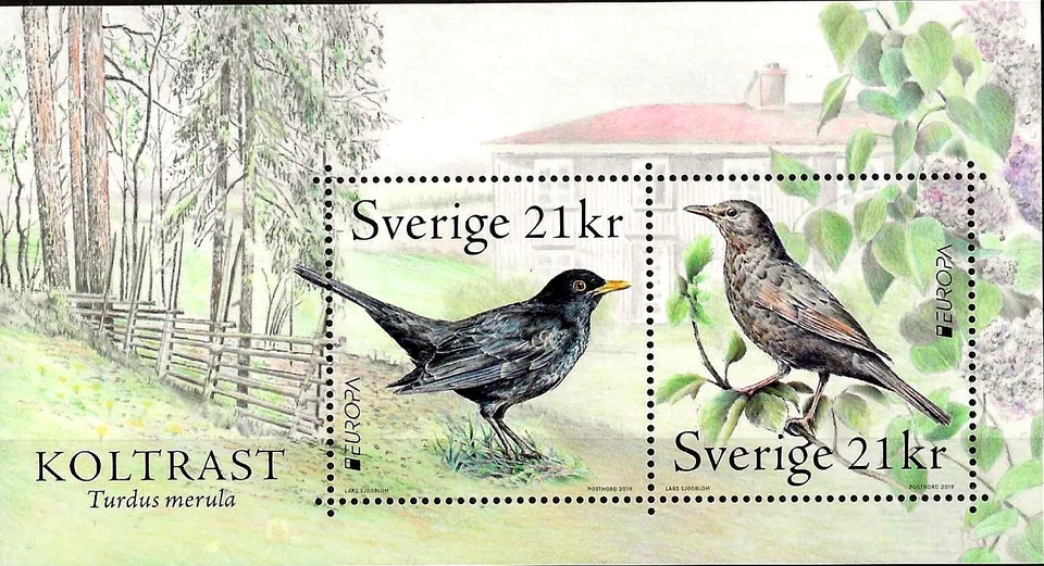 Sweden 2019 - Europa, National Birds Miniature Sheet - MNH - Image 1 of 1