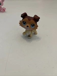 Hasbro 2004 raro original LPS #58 Collie Paw auténtico primera tienda de mascotas Littlest - Imagen 1 de 6