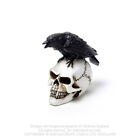 Miniature miniature en polyrésine peinte à la main gothique alchimie corbeau noir sur crâne