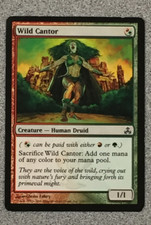 MAGIC: THE GATHERING - WILD CANTOR 1X- GUILDPACT - COMMON - CREATURE - LP