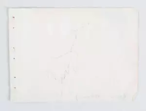 Pagina dell'album firmata Ava Gardner & Glenn Ford - COA JSA - Foto 1 di 2