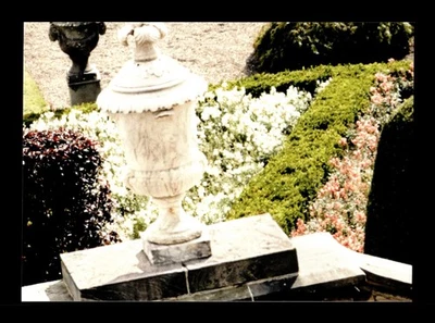 6-0-1-NS PWE . outlander 2 . cryptozoic 2017 Vive Les Frasers puzzle #Z7 - Image 1 of 2