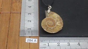 Collier AMMONITE + CORDON réglable pierres fossile mineraux lithotherapie reiki - Picture 1 of 1