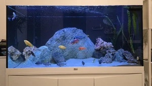Aquarium Kombination 120x50x60 Aquatlantis Volga 350 - Bild 1 von 10