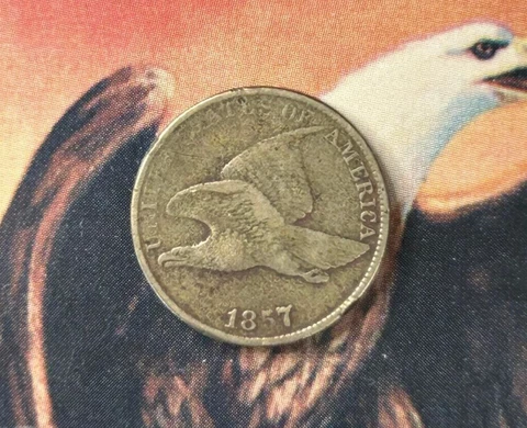 1857 Flying Eagle Cent Penny - Fine Detail - US COIN- zm Cover