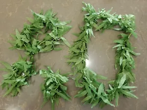 Paquete de hoja de marihuana Lei, 4 piezas, 420, cannabis, cáñamo, fiesta, contundente - Imagen 1 de 6
