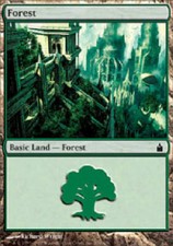 FOREST #306 X4 4 4X Ravnica MTG Magic the Gathering Cards DJMagic