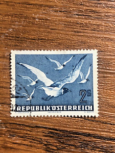 1950-53 AUSTRIA - AIR POST - USED # C56 - "Blackheaded Gulls" - Dark Blue