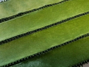 vintage velvet picot edge rayon ribbon 1yd made in France 1.5" - 38mm moss green - Picture 1 of 3