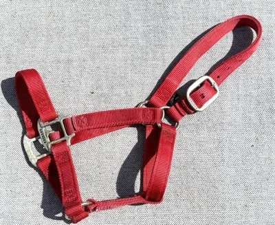 "Halter de caballo de nailon ajustable de 1"" de cuero tejedor tamaño promedio rojo" Foto 1 de 4