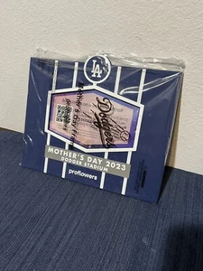2023 Los Angeles Dodgers SGA 5/14/23 Mothers Day Picture Frame New. Sealed - Picture 1 of 3