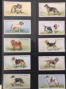 WILLS Cigarette Card Set - DOGS 1937 - Dalmatian Collie Setter Pointer Pekinese - Picture 1 of 2