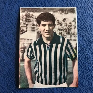 FIDASS 1965/66 JUVENTUS FAVALLI DA BUSTINA - Picture 1 of 1