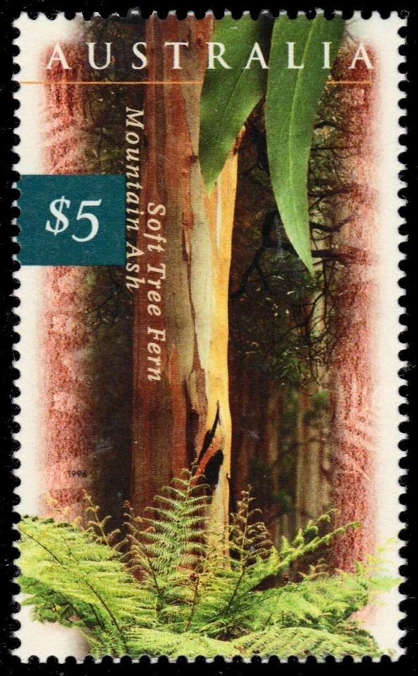 AUSTRALIA 1534 - Mountain Ash and Soft Tree Fern (pb78342) - Image 1 of 1