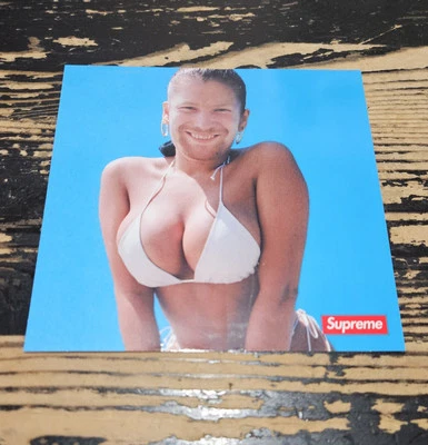 Supreme Aphex Twin Windowlicker Chris Cunningham Sticker SS25 + FREE SURPRISE