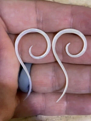 PAR DE EXPANSORES ESPIRALES CONCHA DE MADREPERLA MEDIDORES TAPONES PENDIENTES GARRAS DE CALIBRE Foto 1 de 4