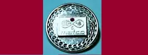 Mafco Worldwide Corporation -5 Year Sterling Lapel Pin/Brooch - Picture 1 of 2