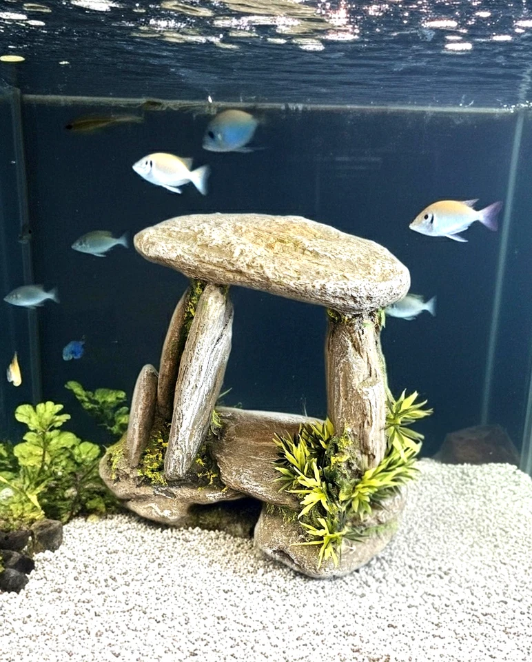 5.5" x 5" x 3.5" Equilibrio Ruinas de Roca Formación Peces Acuario Decoración Foto 1 de 4
