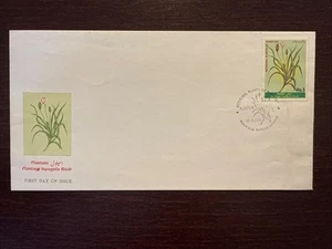 PAKISTAN FDC COVER 1999 YEAR MEDICINAL PLANTS US SHIPPING $2 WORLDWIDE $2.50 - Picture 1 of 1